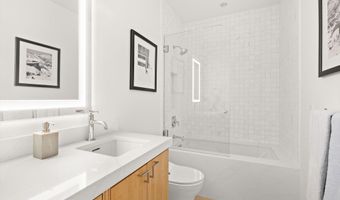 204 N Monarch St, Aspen, CO 81611
