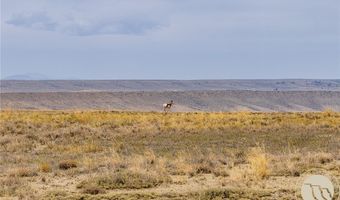 HWY 310, Bridger, MT 59104