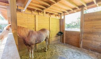 560 N LAKE PLEASANT Rd, Apopka, FL 32712