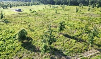 138 Little River 183, Ashdown, AR 71822