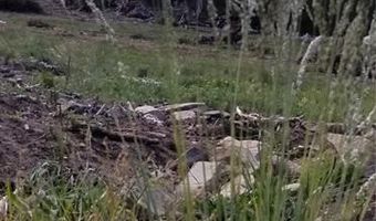 UPPER APEX Road, Black Hawk, CO 80422