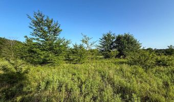 Tract 7 Highway 70, Bennington, OK 74723