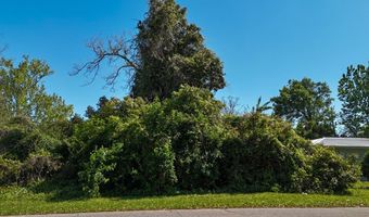 111 11th St, Apalachicola, FL 32320