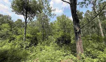 TBD Samuelson Road - Sec 15, Angora, MN 55703