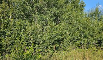 Track A Hwy 87, Backus, MN 56435