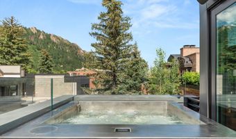 627 E Hopkins Ave, Aspen, CO 81611