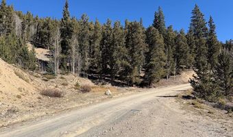 0 County Road 787, Alma, CO 80420