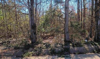 1163 Juneberry Rd, Camden, SC 29020