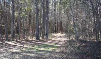 2650 Joe Miley Rd, Brunson, SC 29911