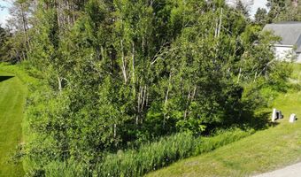 6430 6648 Admirals Point Drive Lot 9 Slip142, Alanson, MI 49706