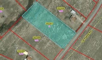 209 Los Padres Rd, Austin, NV 89310