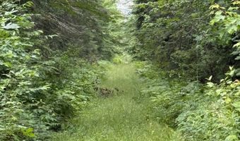 xxx Benson Rd, Alborn, MN 55702