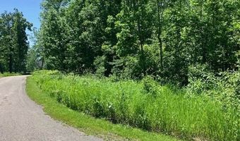 TBD MAPLE ISLE COURT UNIT 32 33 & AMP 34, Alanson, MI 49706