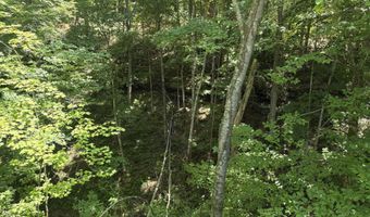643 Pine Grove Rd, Beattyville, KY 41311