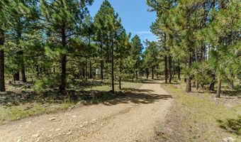 41 Susan Ln, Angel Fire, NM 87710