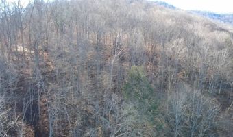 14001 Ridgeview Nellis Rd, Ashford, WV 25142