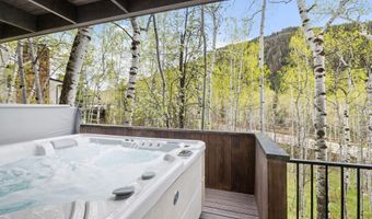 284 Eastwood Dr, Aspen, CO 81611
