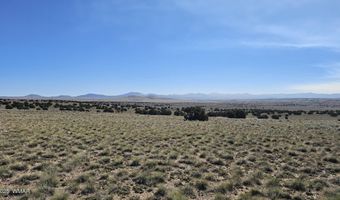 69 N3440, Concho, AZ 85924