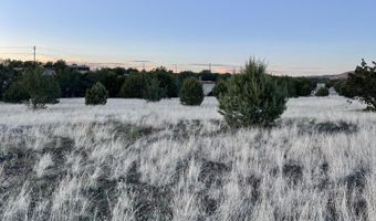 317 Forest Line Cir, Ash Fork, AZ 86320