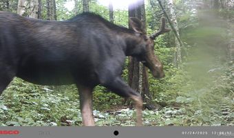 TBD Net River, Amasa, MI 49903