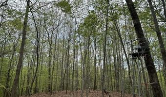 Mockingbird Ln, Bassett, VA 24055