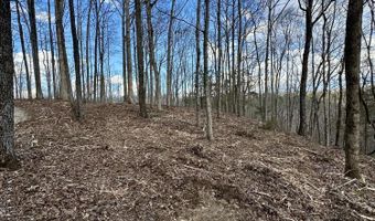 7 Malone Ridge Rd 7, Albany, KY 42602