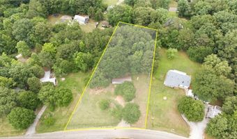 1386 Etheridge Dr, Auburn, GA 30011
