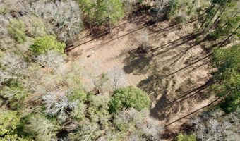 County Road 72, Ariton, AL 36311