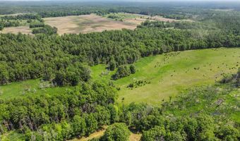 1751 BUTTERCUP Ave, Arkdale, WI 54613