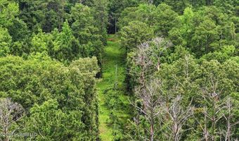 Vine Drive, Brandon, MS 39047