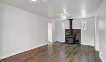 50 SINGLETON Rd, Alma, CO 80420