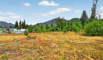 51790 Echo St, Blue River, OR 97413