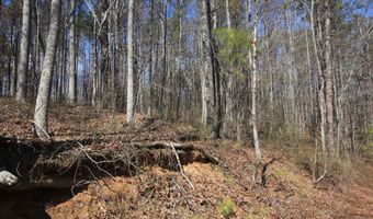 0 Stone Mtn, Tallapoosa, GA 30176