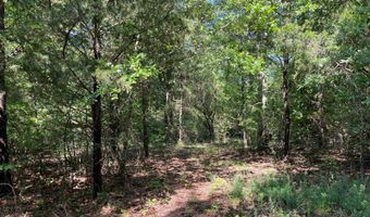 796 Blue Branch Rd, Bennington, OK 74723