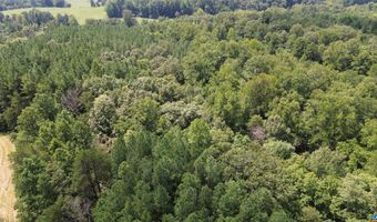 TBA BETTYS BRANCH RD X, Arvonia, VA 23004