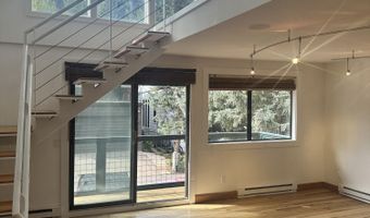 915 E HOPKINS Ave 4, Aspen, CO 81611