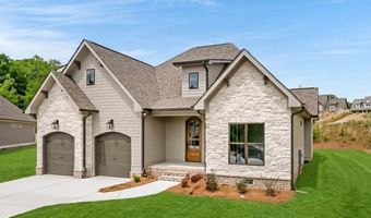 10597 Brownspring Dr 115, Apison, TN 37302