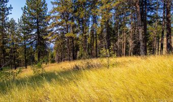 Summitview Dr, Ahsahka, ID 83520