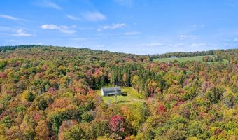 1724 Calhoun Hill Rd, Andes, NY 13731