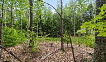 Corno Road and Canaan Street lot All 8 Lots, Canaan, NH 03741