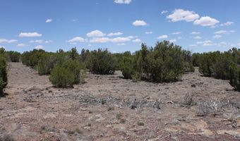 N8190, Concho, AZ 85924