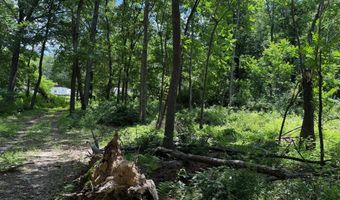 81 CABIN Rd, Augusta, WV 26704