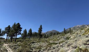 Kingsbury Grade, Gardnerville, NV 89460