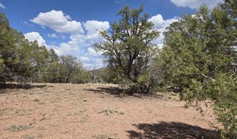 215 Off Cathedral Vly, Ash Fork, AZ 86320