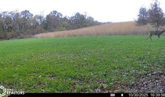 560 Th Ave, Albia, IA 52531