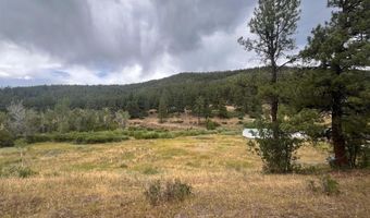 3230 Bear Creek Rd, Bayfield, CO 81122