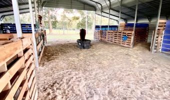 10 SW 50th Ave, Bell, FL 32619