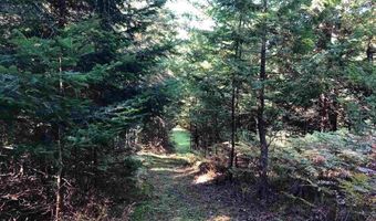 TBD Banwell, Alanson, MI 49706