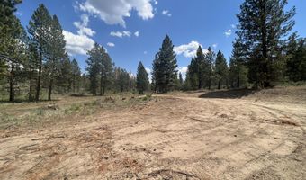 Bufflehead Drive, Bonanza, OR 97623