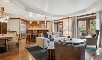 415 E Dean St Unit 38 Week 33, Aspen, CO 81611